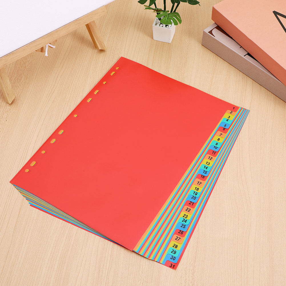 A4 사이즈 플라스틱 인덱스 페이지 분리대 2세트, 1 - Tab Divider A4 리뷰 및 가격